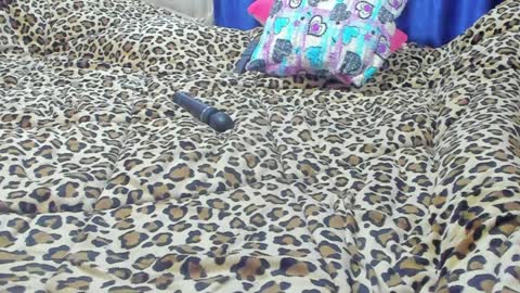 Snapshot of marie_marie03 chatting on January 2025 01:56:02 PM Marie   online show from January 2025 01:56:02 PM