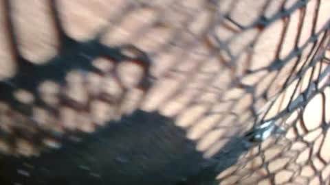 Snapshot of marielahorny303av chatting on December 2025 02:24:02 PM marielahorny303av online show from December 2025 02:24:02 PM