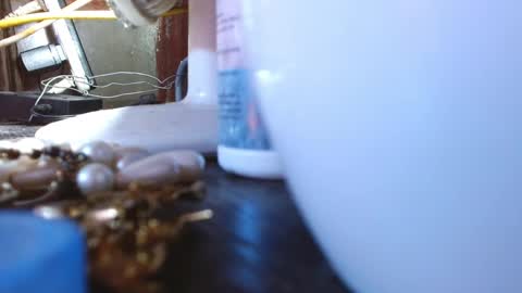 LEAH online show from March 2025 04:05:02 AM