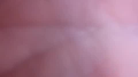 mark2711568331 online show from November 2025 03:33:02 PM