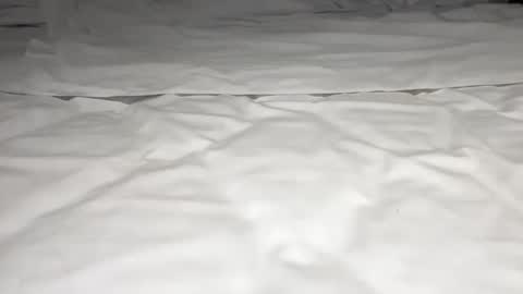 mark_nips02 online show from February 2026 11:35:01 PM