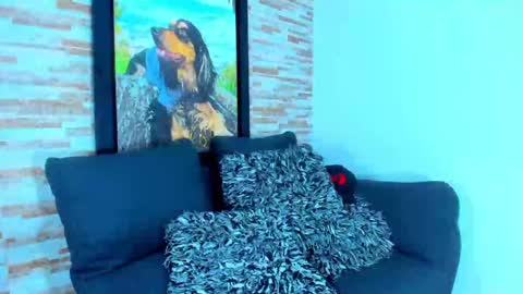 Snapshot of marko_toro__ chatting on January 2025 10:55:01 PM Sebastian online show from January 2025 10:55:01 PM