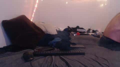 Snapshot of markymark515 chatting on February 2025 02:09:02 PM MarkyMark7169 online show from February 2025 02:09:02 PM