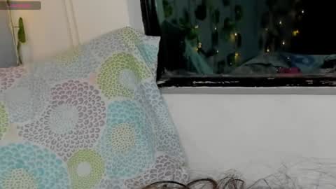 marly online show from January 2025 05:53:02 AM