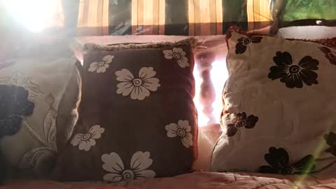 Snapshot of marocreda33 chatting on December 2024 11:17:01 AM marocreda33 online show from December 2024 11:17:01 AM