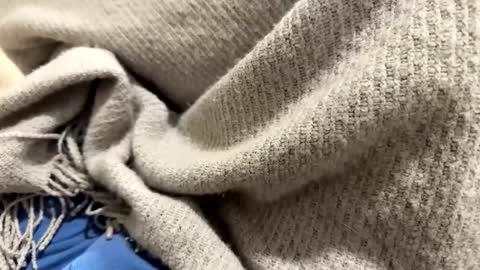 marriedthickdick37 online show from January 2025 10:12:01 PM