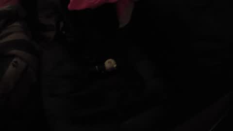 martamoontrans online show from November 2025 10:32:02 AM