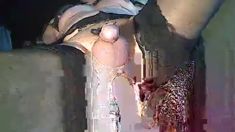 Snapshot of maschpro chatting on December 2024 02:37:02 PM maschpro online show from December 2024 02:37:02 PM