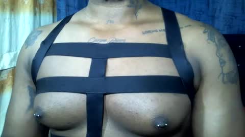 camilo online show from February 2025 10:57:01 AM