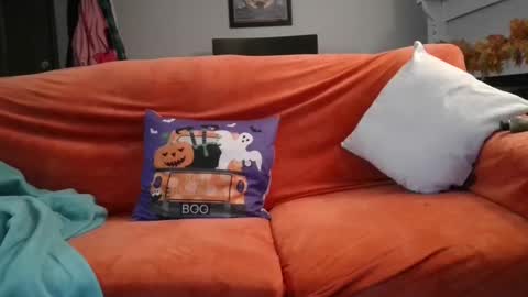 Snapshot of mastersquirter98 chatting on October 2025 09:07:02 AM alex online show from October 2025 09:07:02 AM