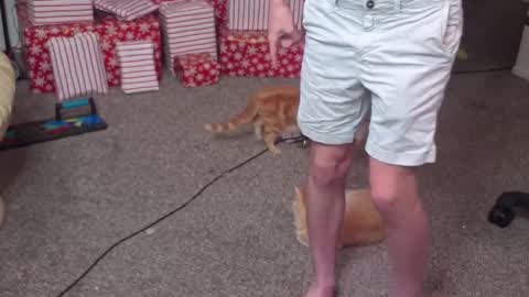 Snapshot of mattcashxxx chatting on December 2024 02:12:01 AM Matt Cash online show from December 2024 02:12:01 AM