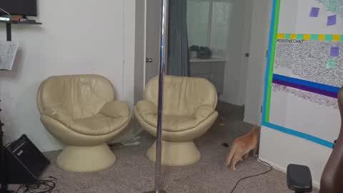 Snapshot of mattcashxxx chatting on January 2025 02:14:02 AM Matt Cash online show from January 2025 02:14:02 AM