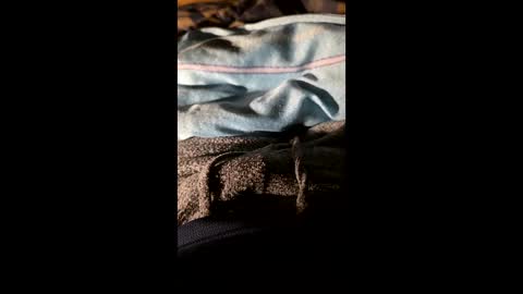 maxhot9977 online show from March 2026 06:57:01 PM