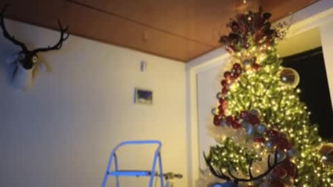 Sebastian online show from December 2024 11:57:01 PM