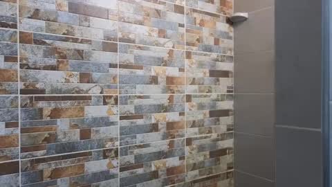 Sebastian online show from December 2024 10:17:02 PM