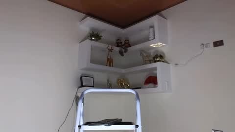 Sebastian online show from December 2024 04:22:02 AM