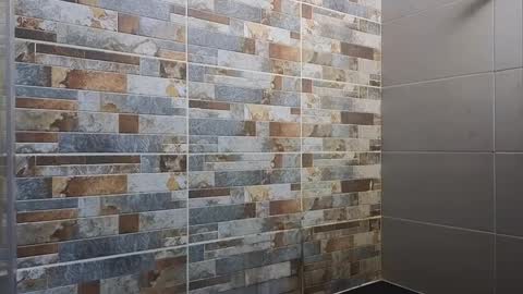 Sebastian online show from January 2025 12:06:02 AM