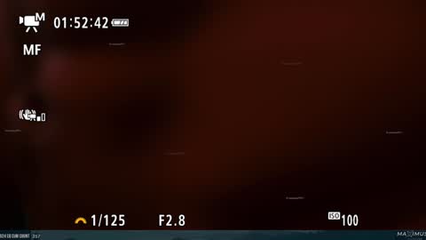 Maximus7871 online show from January 2025 11:35:01 PM