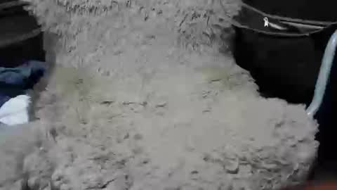 Max online show from January 2025 02:19:01 PM