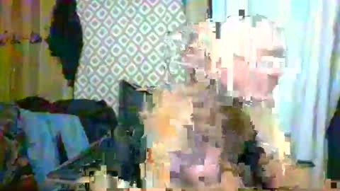 Max online show from February 2025 08:33:02 AM