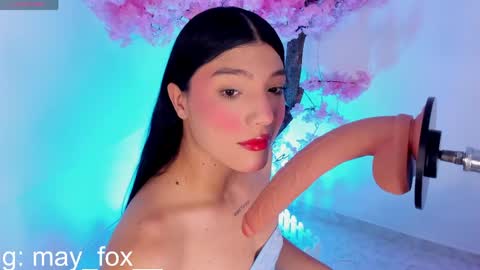 Snapshot of may_fox_ chatting on May 2026 03:24:02 AM May online show from May 2026 03:24:02 AM
