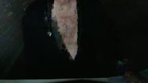 Snapshot of mbeastie chatting on November 2025 03:50:01 AM Beastie online show from November 2025 03:50:01 AM