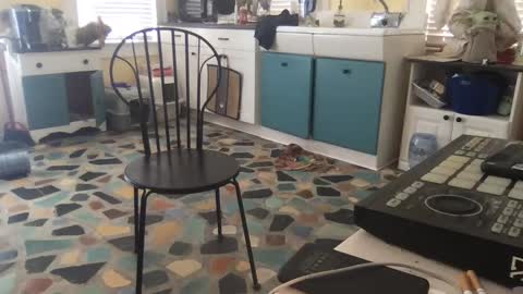 mdman32 online show from February 2025 03:15:02 PM