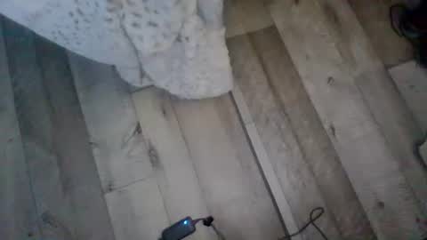 Snapshot of me_him_us_them chatting on November 2025 11:10:02 AM me_him_us_them online show from November 2025 11:10:02 AM