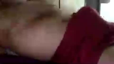 mecalientasmucho online show from July 2026 02:03:02 PM