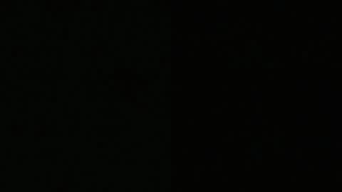 Megan online show from February 2025 02:58:01 PM