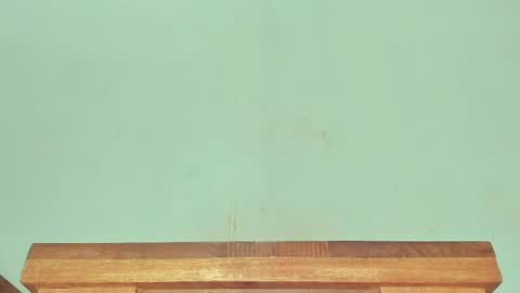 Melania online show from March 2025 06:24:02 AM