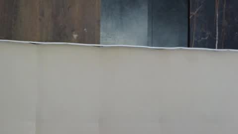 melanniebrown online show from December 2025 06:41:02 AM