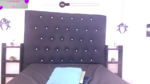 Snapshot of meli_blad chatting on February 2026 07:29:01 PM meli_blad online show from February 2026 07:29:01 PM