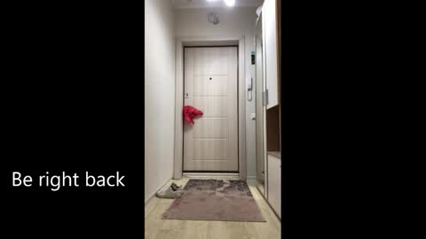 Snapshot of melina_beauty chatting on February 2026 09:08:02 AM Melina online show from February 2026 09:08:02 AM