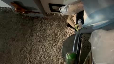 melodysnow online show from January 2026 12:40:01 PM