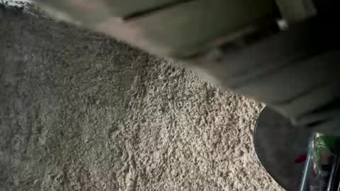 melodysnow online show from January 2026 12:52:01 PM