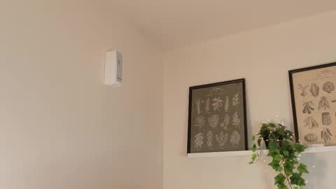  Memphis Williams  online show from February 2026 04:20:01 AM