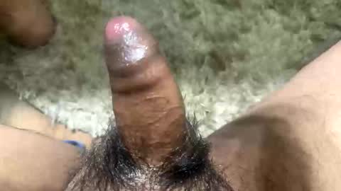 Toro loco online show from November 2025 05:39:02 AM