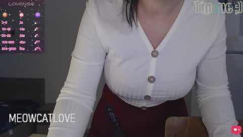 Snapshot of meowcatlove chatting on January 2025 08:39:02 PM meowcatlove online show from January 2025 08:39:02 PM