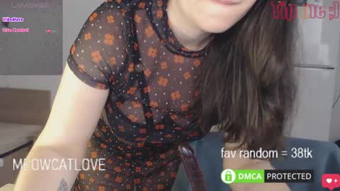 Snapshot of meowcatlove chatting on February 2025 09:58:02 PM meowcatlove online show from February 2025 09:58:02 PM