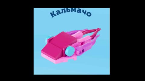 meowcr online show from December 2025 11:54:01 PM