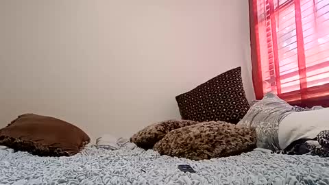 Snapshot of meowzers777 chatting on December 2024 06:48:02 PM meowzers777 online show from December 2024 06:48:02 PM