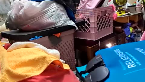 Snapshot of merelyalover chatting on February 2025 07:09:01 AM gurlnips online show from February 2025 07:09:01 AM