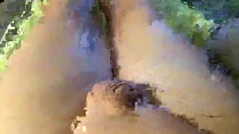 Wade online show from January 2025 01:42:02 AM