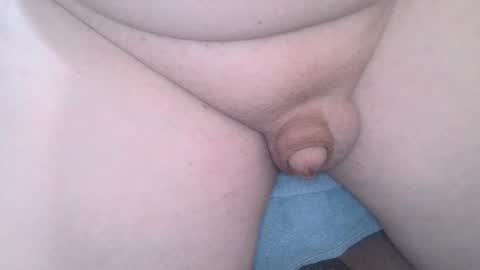 Wade online show from February 2025 07:41:01 AM