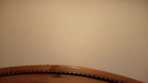 Snapshot of mhorny5 chatting on September 2025 08:41:02 PM mhorny5 online show from September 2025 08:41:02 PM