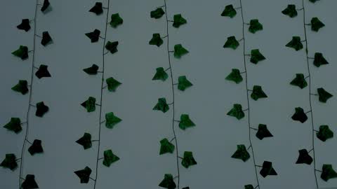 MIA online show from November 2025 10:20:02 PM