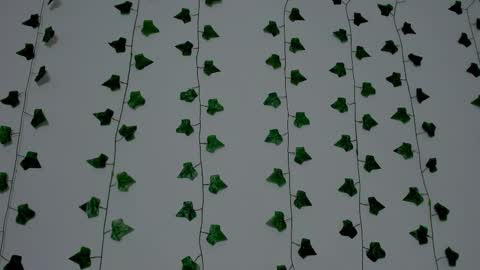 MIA online show from December 2025 09:33:01 PM