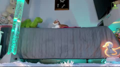 Snapshot of mia_starss chatting on November 2025 11:43:02 PM Mia online show from November 2025 11:43:02 PM