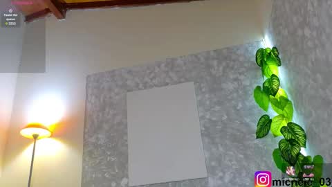 Snapshot of michele_rooss00 chatting on February 2026 01:57:02 AM melannie follow my new page online show from February 2026 01:57:02 AM